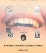 Morfologie orofaciálního systému pro studenty zubního lékařství